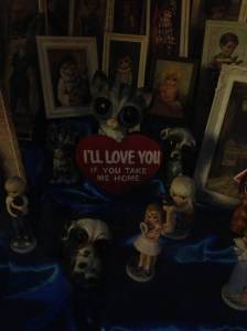 Big.Eyes.set.2.Vancouver.canada.photo.by.angelvancouver.com