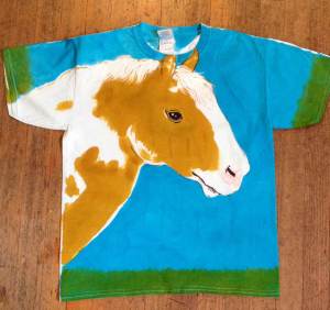 angel.shirt9.jan.2014