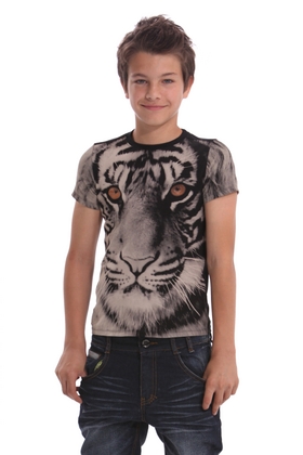 Desigual.kids.boy.TS.EVINIA.tiger.SS2014.41T3712_2000