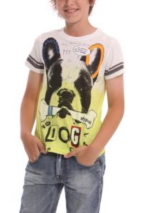 Desigual.kids.GUARULHOS.Tshirt.SS2014.42T3631_4125.$54