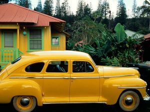 yellow-car.national.geographic
