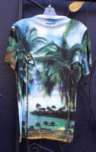 Desigual.GO.EXPLORE.Tshirt.back.$84.SS2015.