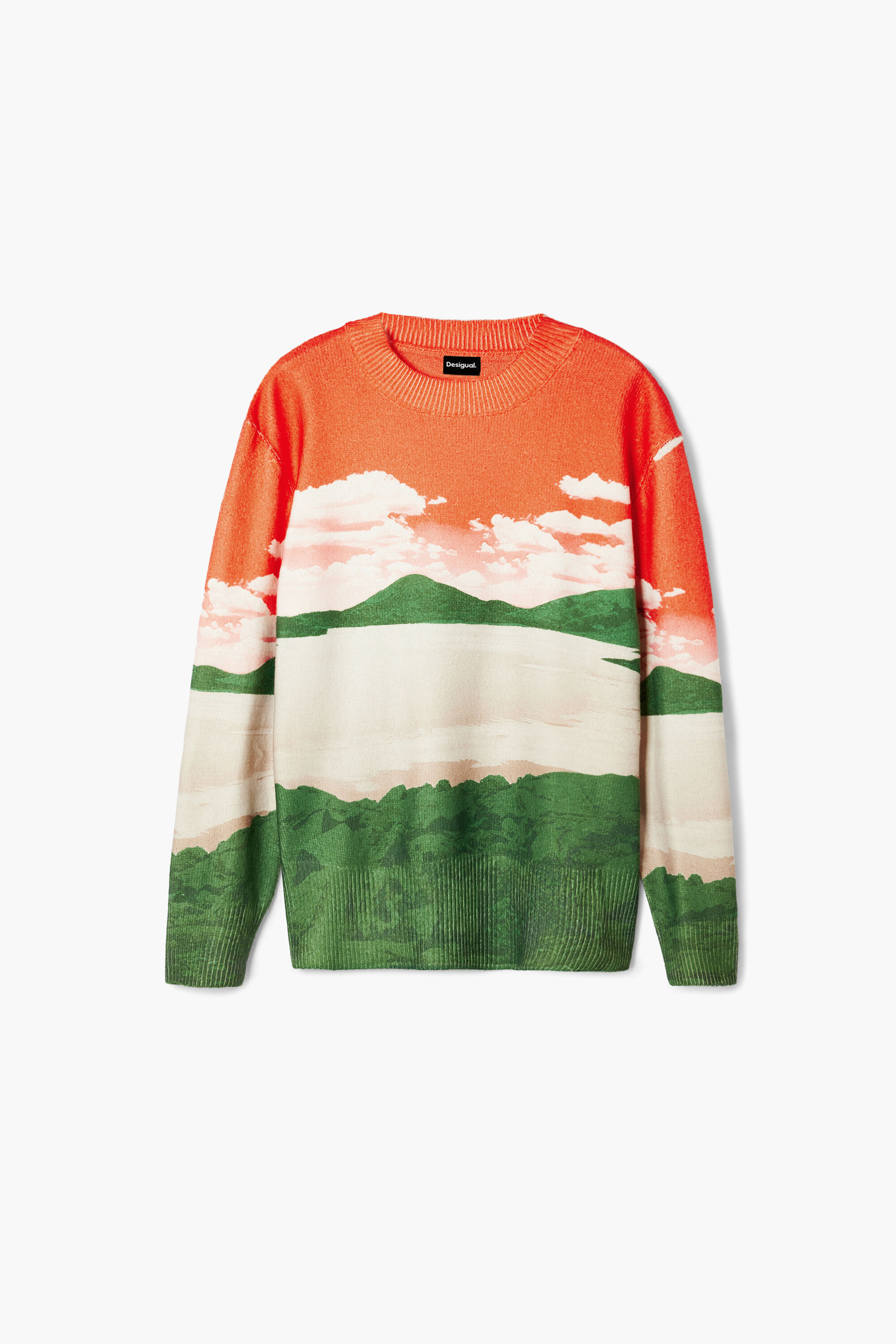 Desigual AKITA landscape sweater for men FW2024