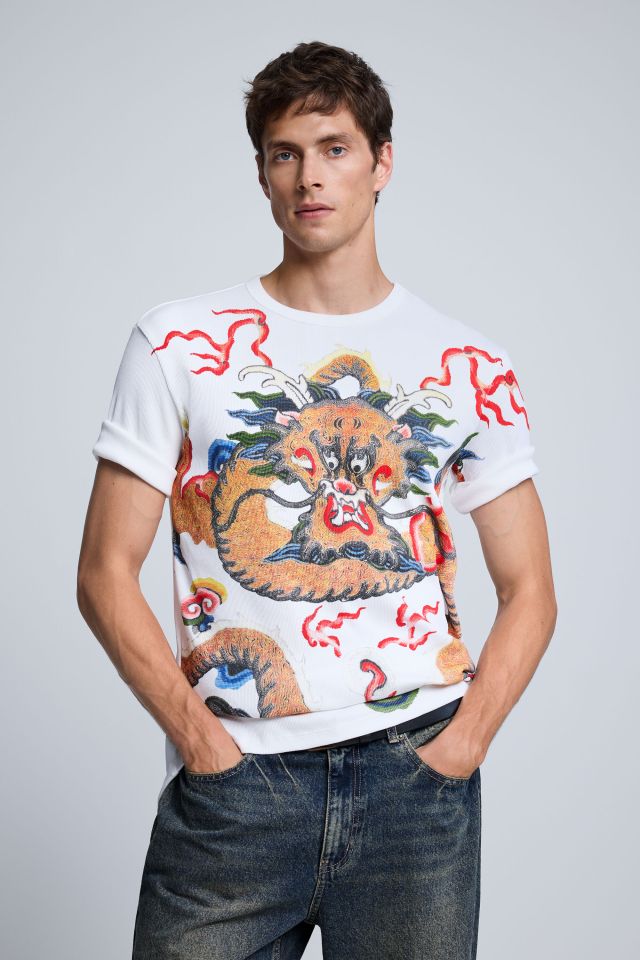 Desigual DRAGON T-shirt Fall 2026 collection